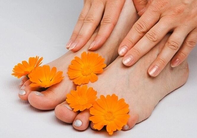 Foot and nail fungus