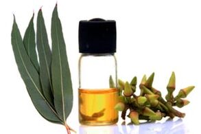Eucalyptus oil for the treatment of onychomycosis