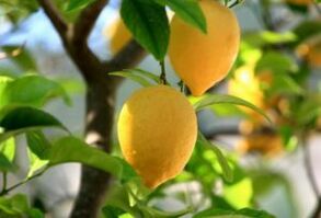 Lemon against athlete's foot